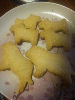 �����ق�