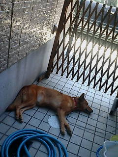 �����[�B