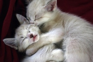 ��������I