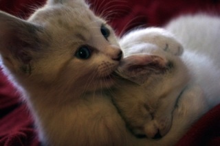 �����Ă��̂ǂ��ł����ǂˁB