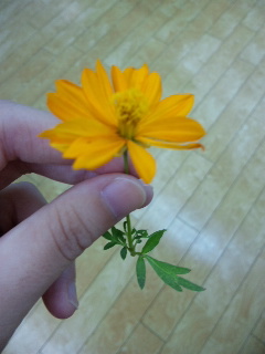 �d���I���B