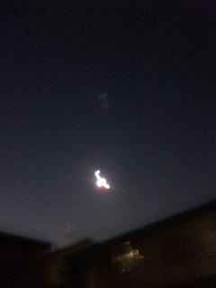 �����B�肽�������񂾂���