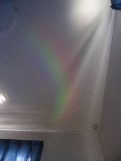 �����ǂ��Ȃ����̂�