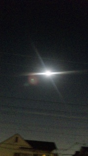 �M���҂��Ȃ��B