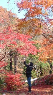 �����̍g�t