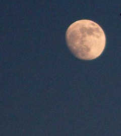 ���{�l���璸�������N�G�X�g�B