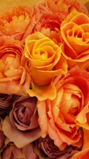 ���ɂ���ɂႵ�Ă��̂ŏՓ������B