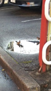 �����߂�