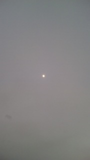 �܂����͕��ĂȂ�����