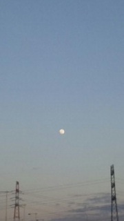 �������B