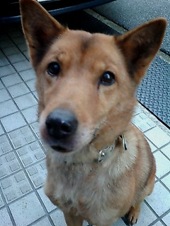 �����̕�����B