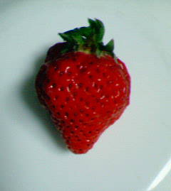 ���l���璸�������N�G�X�g�B