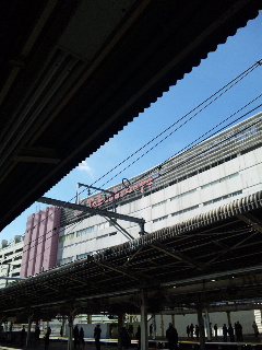 ���l�w����