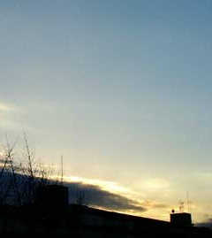 �܂���l���璸�������N�G�X�g�B