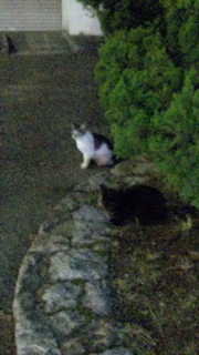 �d���A��Ȃ��B