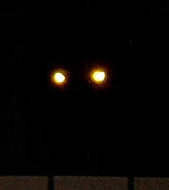 �����l���璸�������N�G�X�g�B