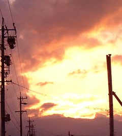 �������߁B