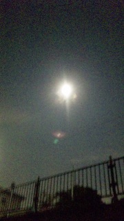 ���Ă�͂��Ȃ̂�