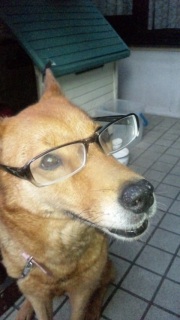 �{���a�����I