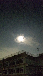 �B�蒼���B