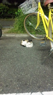 �悵�o�����B