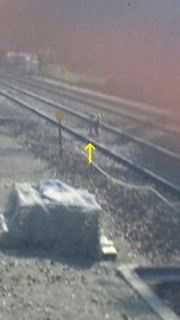 ���H���̃v�[�h���B