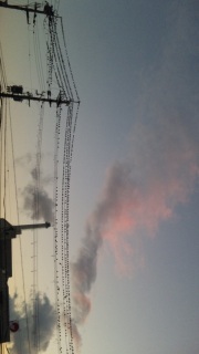 �d������̋A�蓹�Ȃ��B