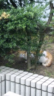 �O���T��