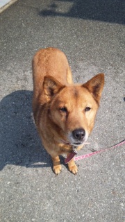 ῂ������B