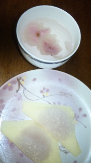 �����p�̋��s�y�Y��