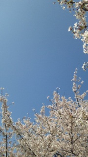 �e�F�Ƃ��Ԍ��Ȃ��B