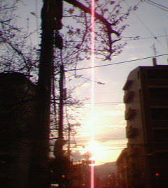 ������o�g����H����l���璸���܂����I