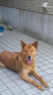 �����̕�����B