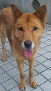 �B���������Ă����B