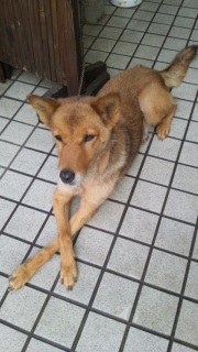 �����̕�����B