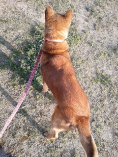 �����̕�����B