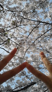 �e�F�Ƃ��Ԍ��Ȃ��I