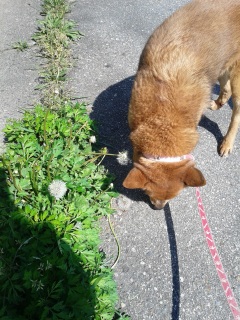 �t���Ȃ����Ă�