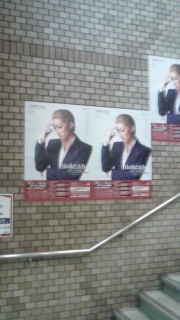 �ǂ��݂Ă��h�C�c��