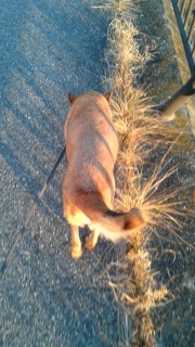 �����̕�����B