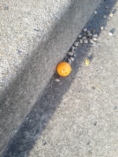 ���̕Ћ���