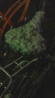 �Ⴊ�~��ς���