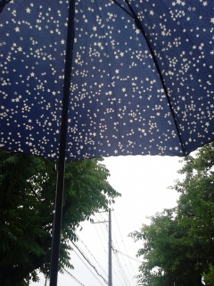 ���J���~��D�F�̒��B