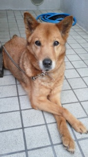 �����̕�����B