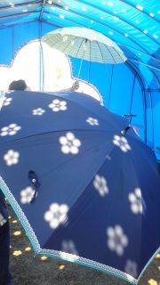 ���Ԃ��炭�P�B