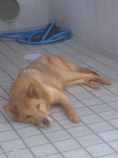 �����̕�����B