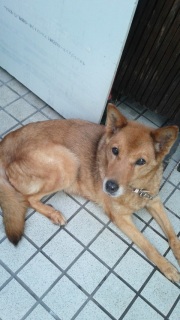 �����̕�����B