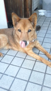 �����͗������ˁB