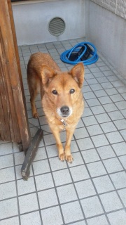 �����̕�����B