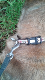 �����̕�����B